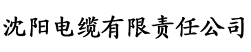 强干英语课代表h电缆厂logo